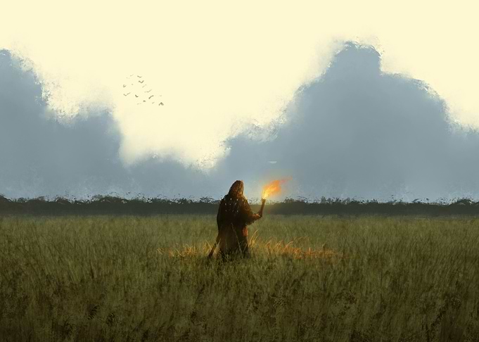 Field