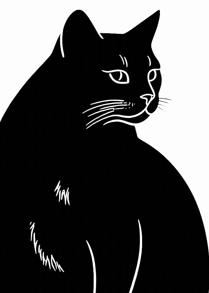 Black Cat Silhouette