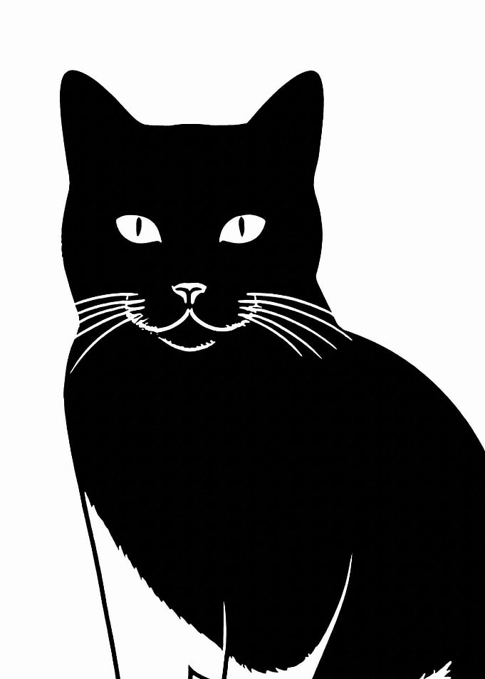 Black Cat Silhouette