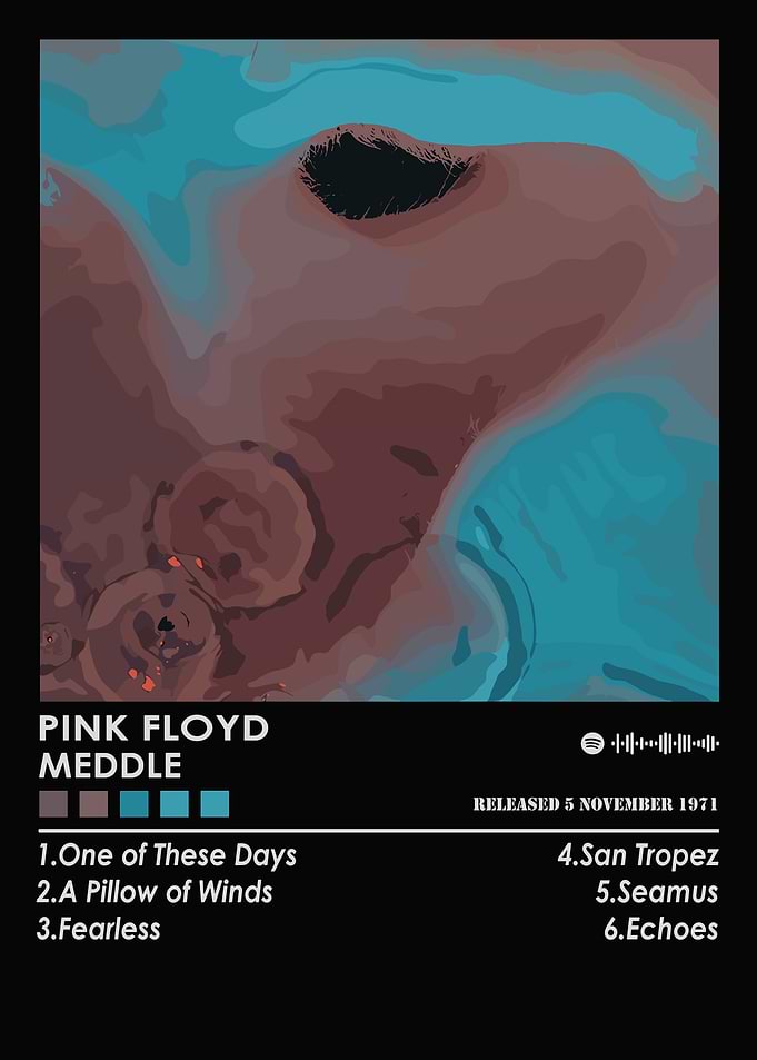 Pink Floyd Meddle