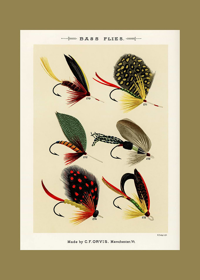Vintage Bass Flies Illustration