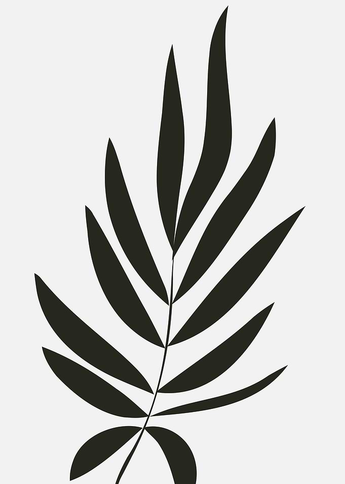 Black and White Leaf Silhouette