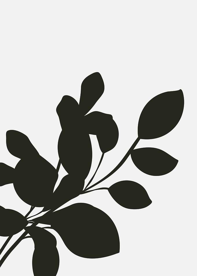 Black and White Leaf Silhouette