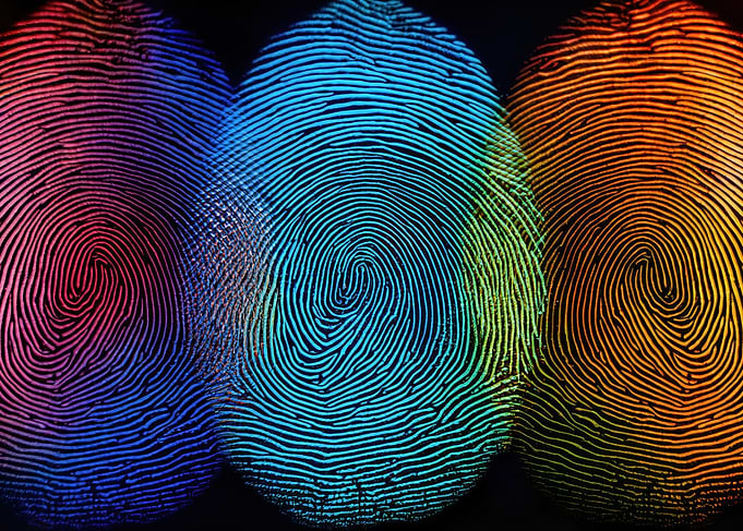 Colorful Fingerprint Pattern