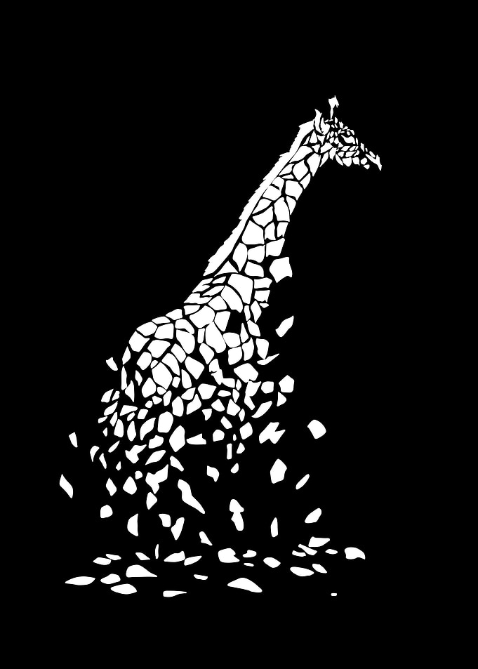 Shattered Giraffe