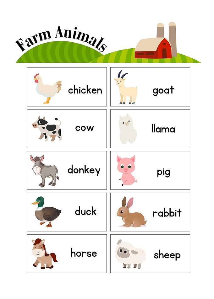 Farm Animals Flashcards
