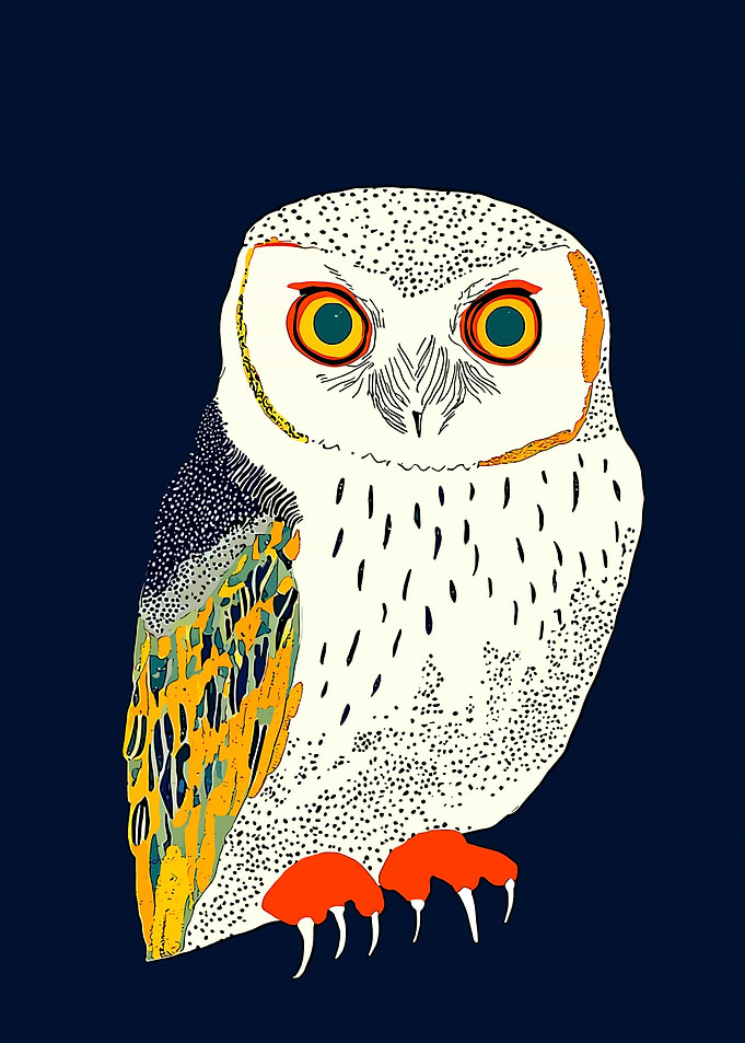 Owl Illustration