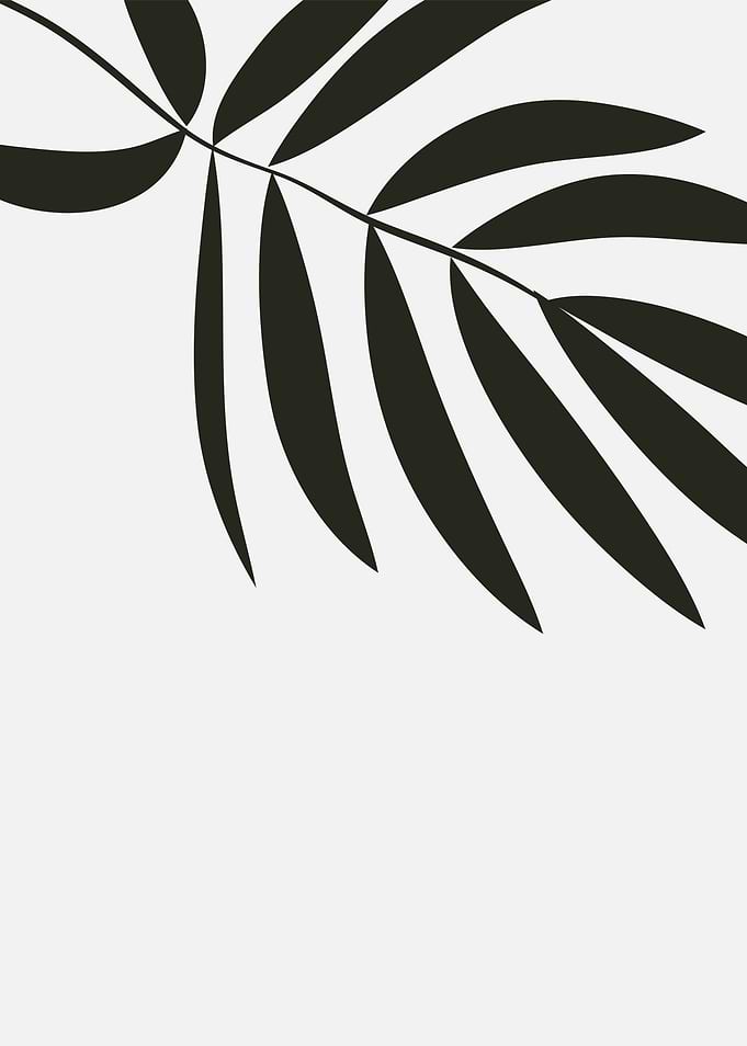 Black Palm Leaf Silhouette