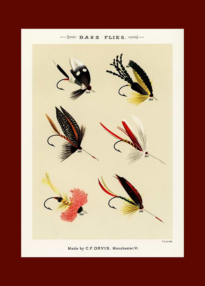 Vintage Bass Flies Illustration