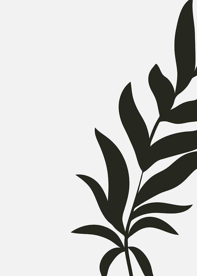 Black Leaf Silhouette