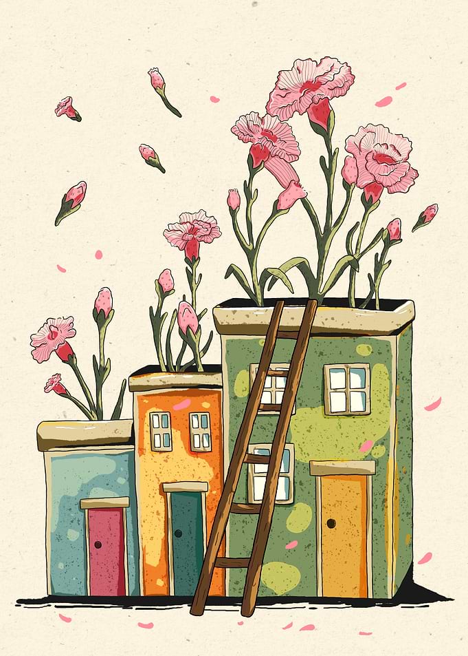Pink Potted January Carnation Flower