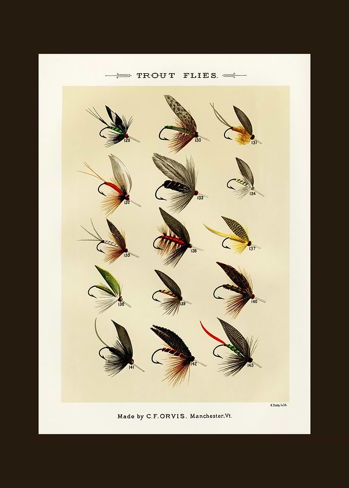 Trout Flies Vintage Chart