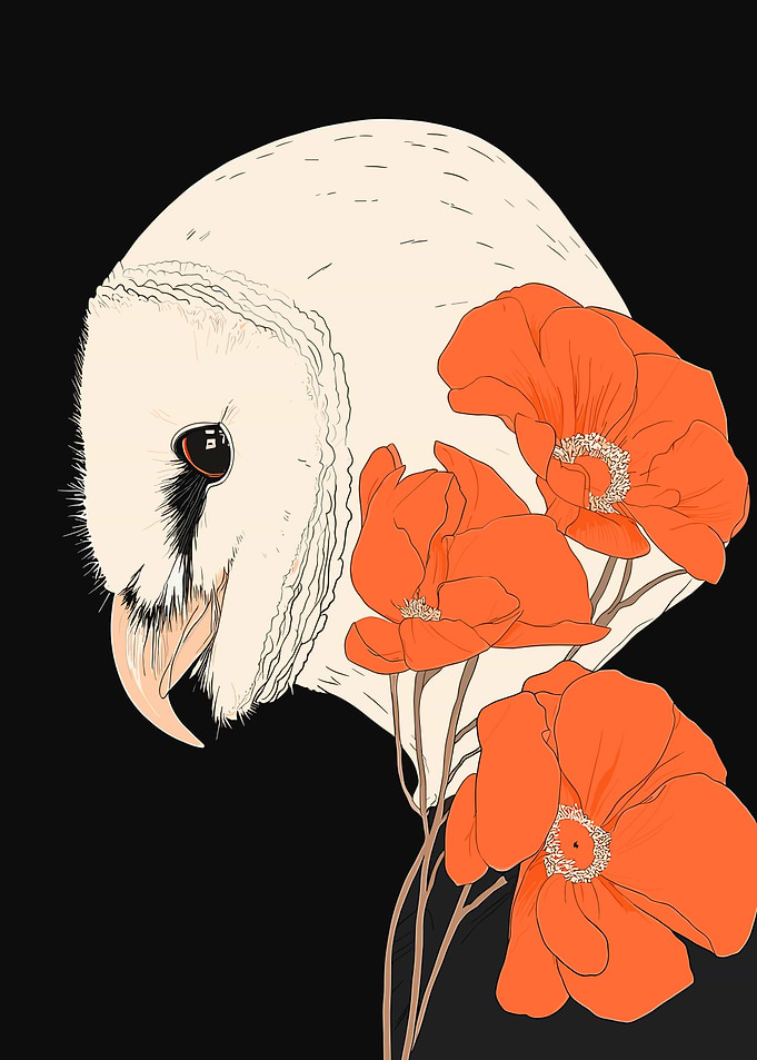Owl and Poppies