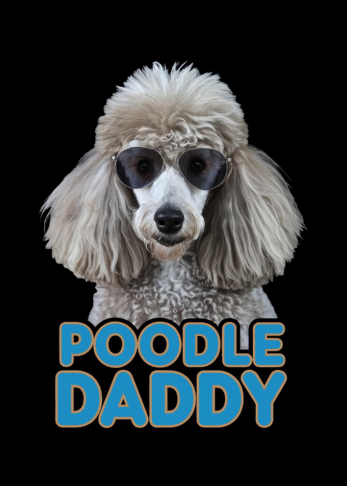 Poodle Daddy