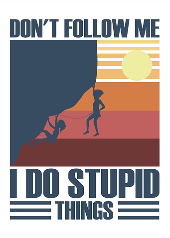 Don't Follow Me, I Do Stupid Things