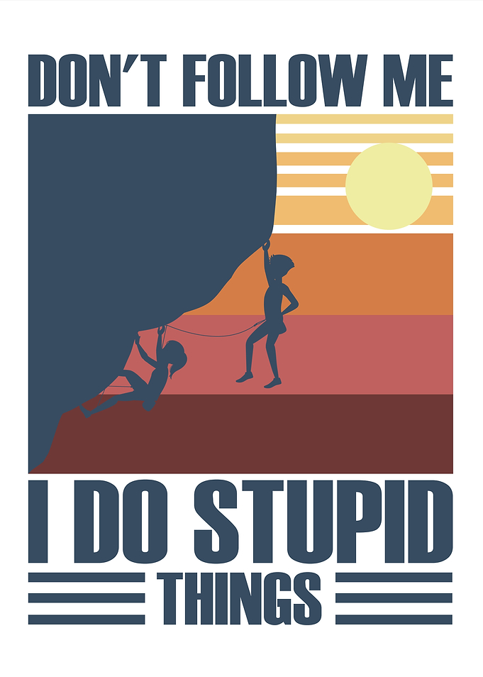 Don't Follow Me, I Do Stupid Things