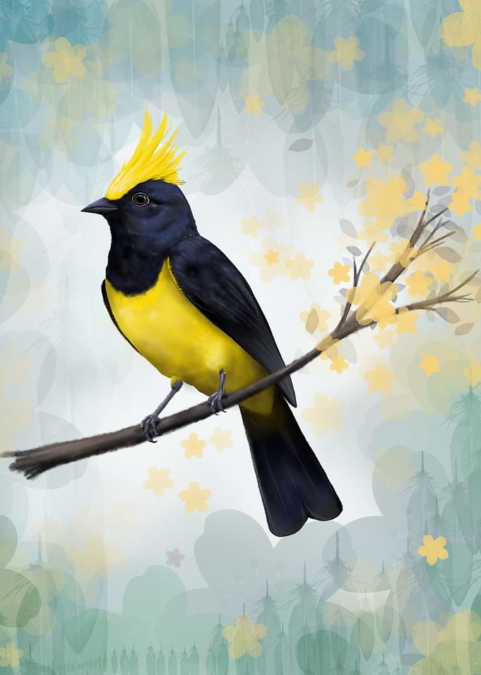 Yellow-Crested Bird on Branch