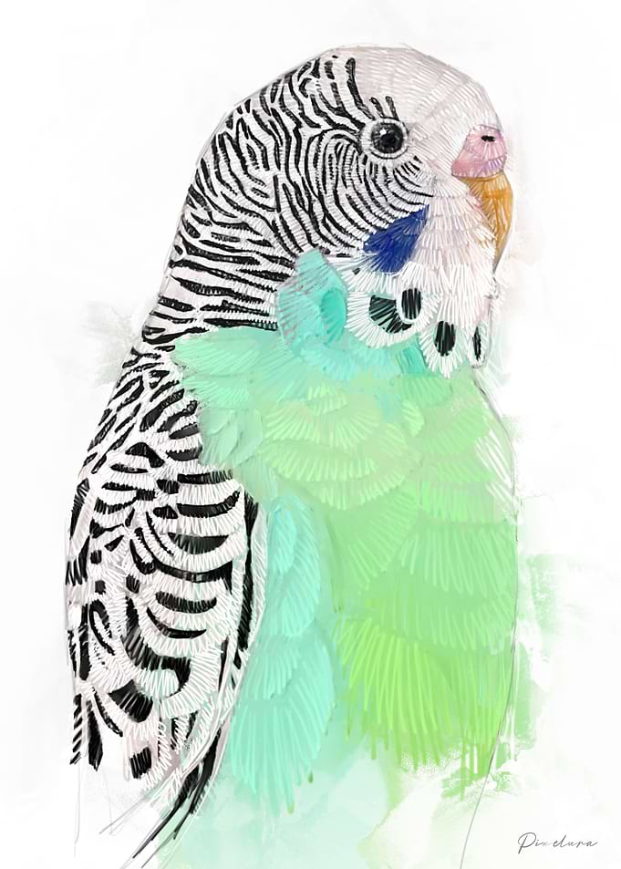 Green Budgie Watercolor
