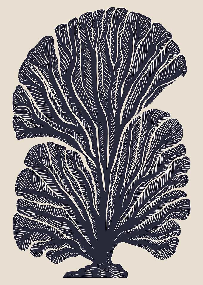 Navy Blue Coral Illustration