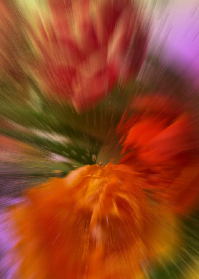 Abstract Flower Burst