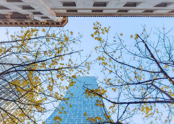 Autumn Cityscape