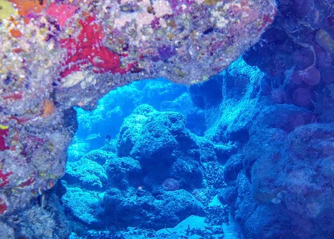 Underwater Cave View
