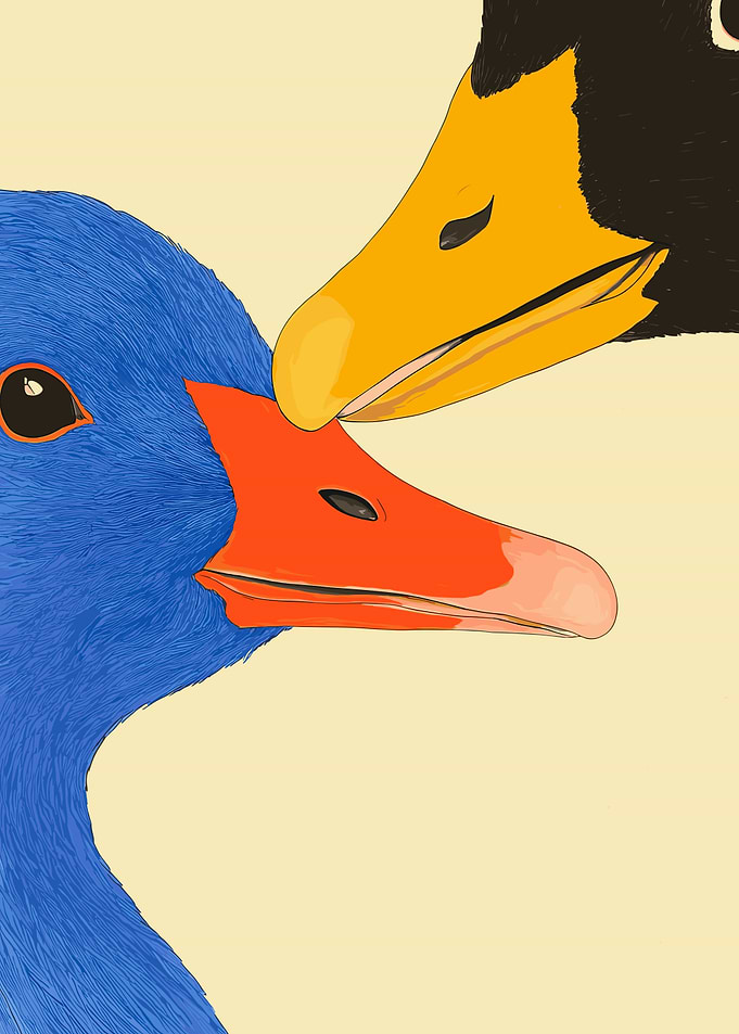 Goose Couple Close-Up