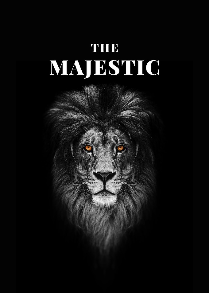 Majestic Lion Portrait