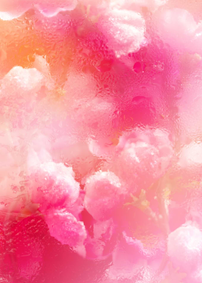 Pink Sakura Haze
