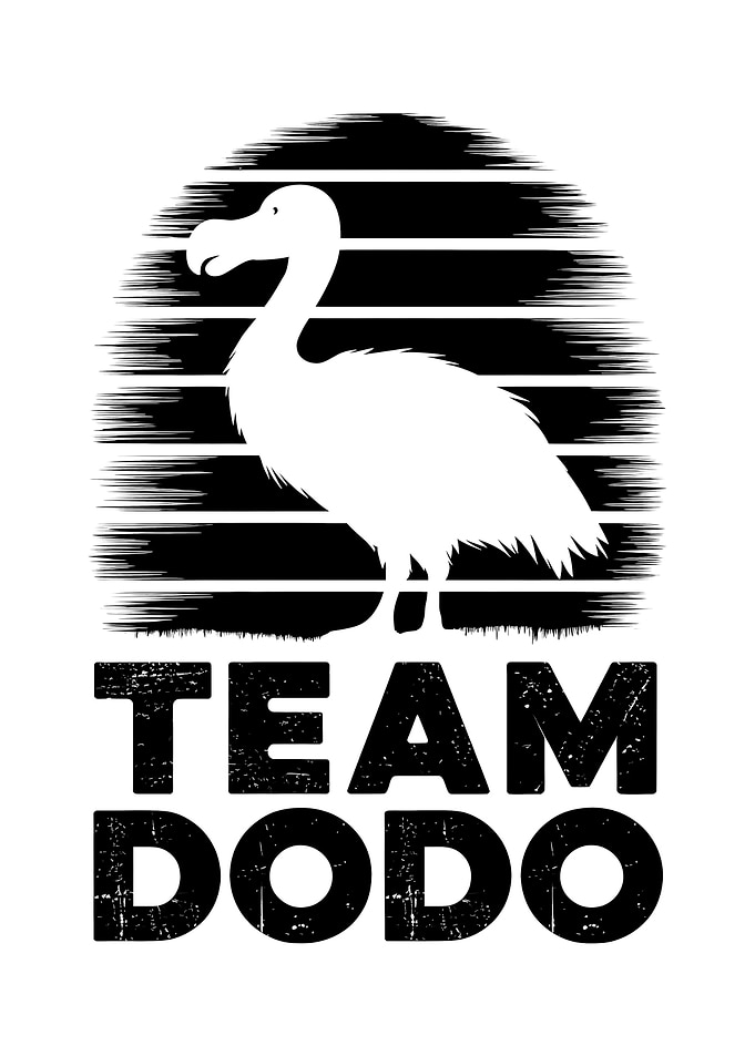 Dodo Bird Team Graphic