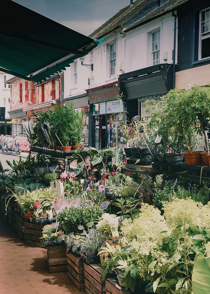 Flower Shop Storefront