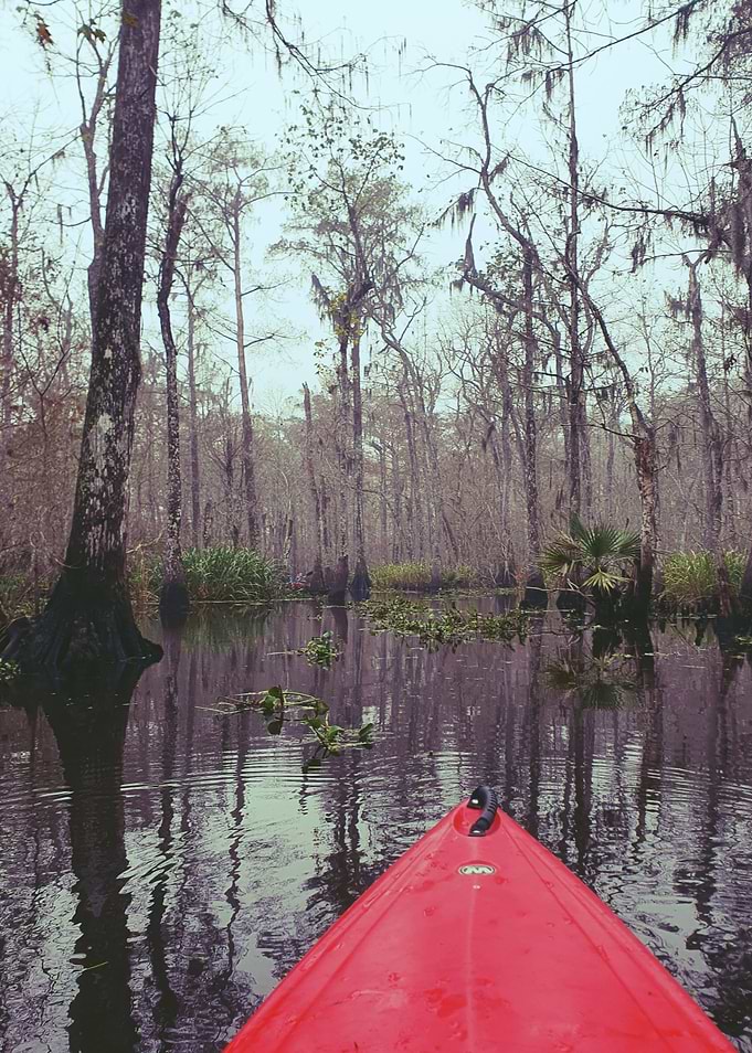 Kayaking Through Swamps