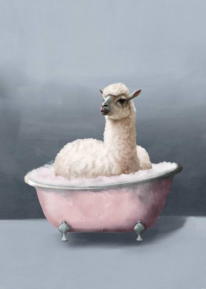 Alpaca Bath Time