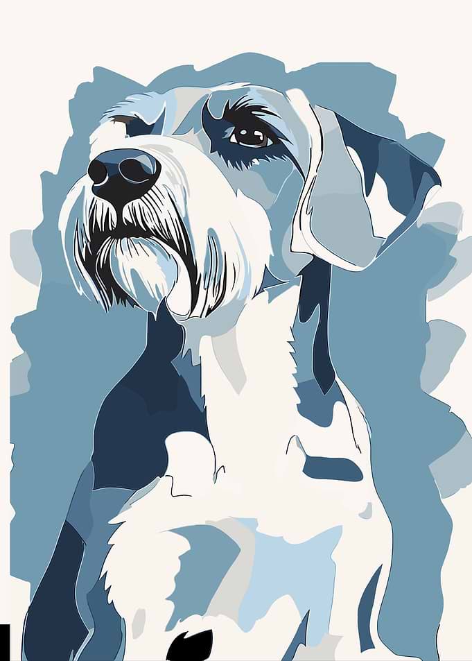 Blue Terrier Dog Portrait