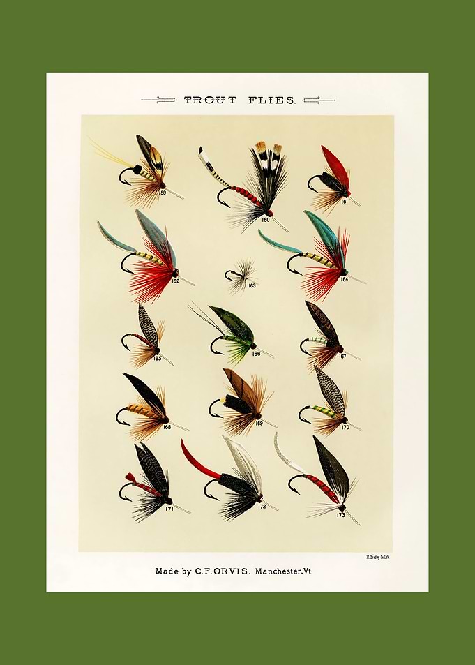 Trout Flies Chart