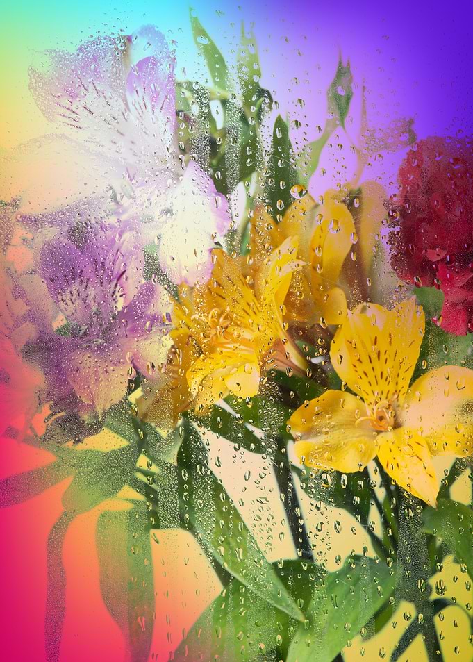 Tropical Flowers