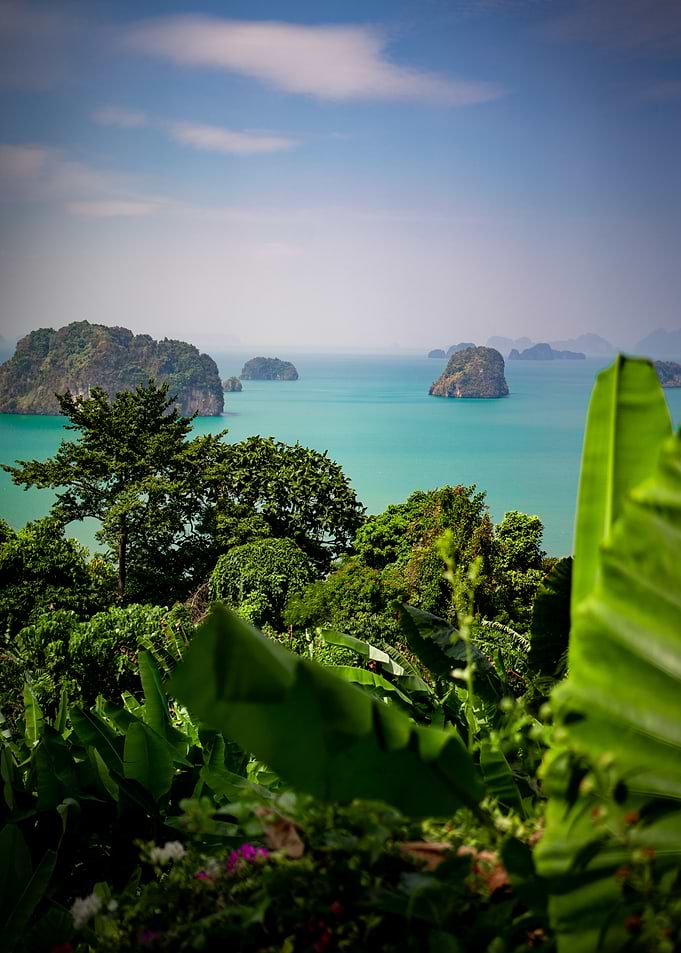 Tropical Island View