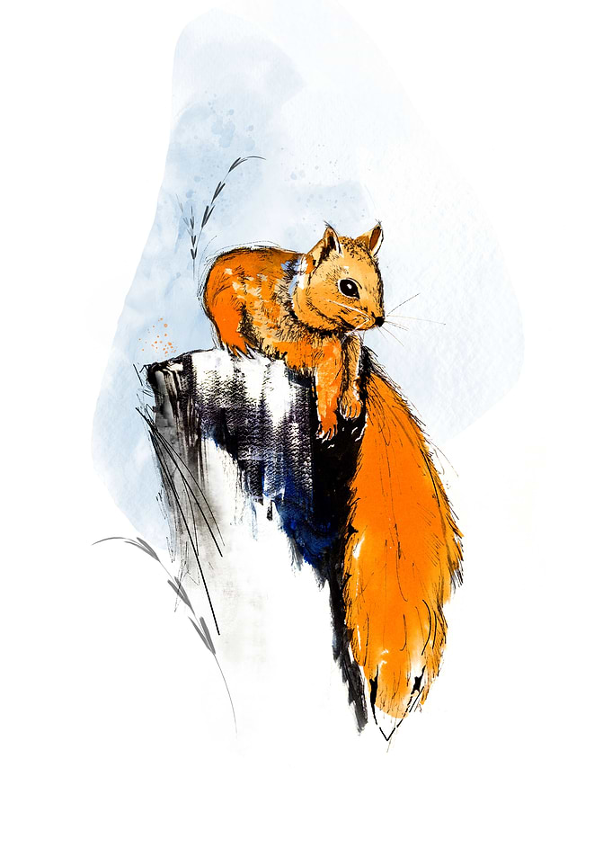 Squirrel Watercolor Painting
