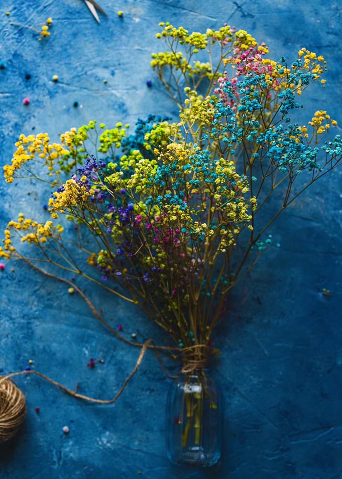 Colorful Dried Flowers in Vase