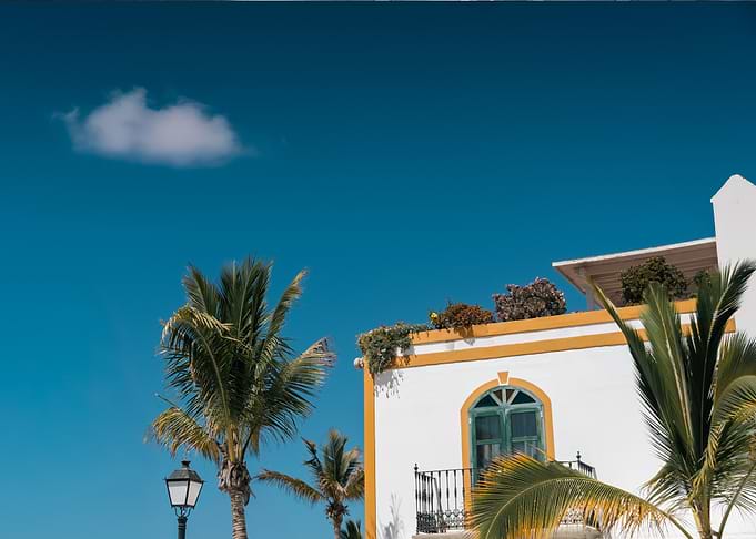Palm Tree and White Building