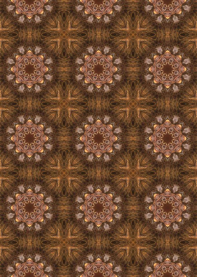 Brown Mandala Pattern