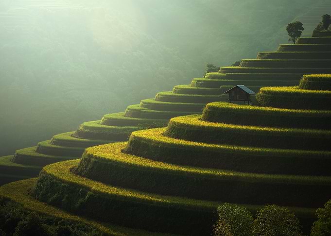 Rice fields Mu Cang Chai Vietnam
