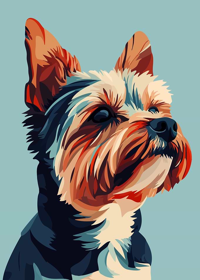 Yorkshire Terrier Portrait