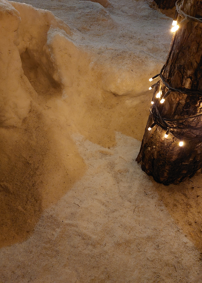 Snowy Tree Trunk with Lights