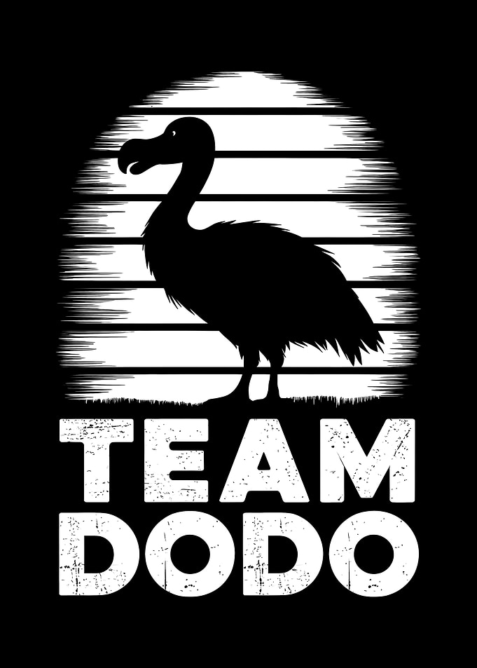 Team Dodo Retro Design