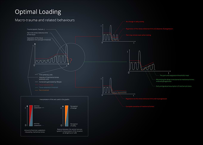 Optimal Loading Diagram