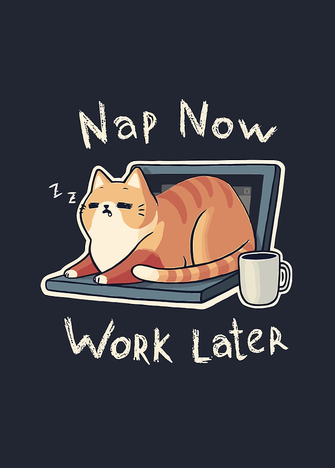 Nap Now Work Later Cat