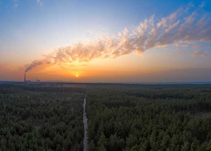 Sunset Over Forest