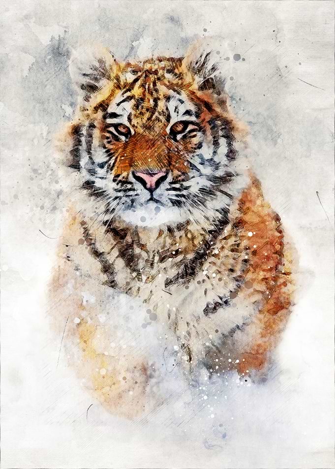 Tiger Watercolor Portrait