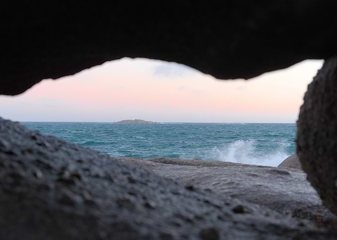 Through Natures Looking Glass